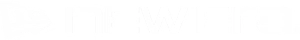 NEC_Logo_Primary_RGB_Inline_WHT